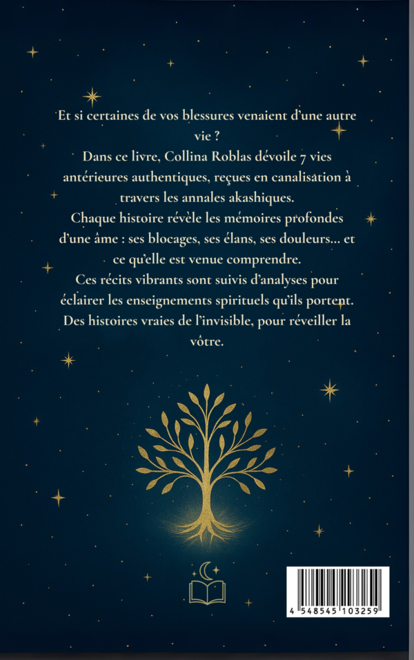 Vies Antérieures - résumé